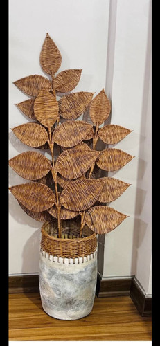 شاخه های حصیری