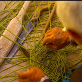 سبد حصیری ترکه بافی